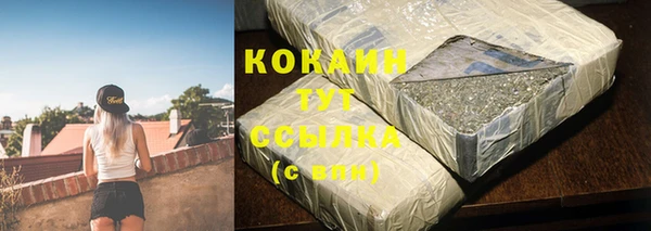 ПСИЛОЦИБИНОВЫЕ ГРИБЫ Богданович