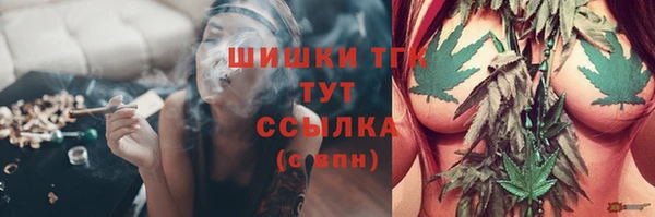 ПСИЛОЦИБИНОВЫЕ ГРИБЫ Богданович