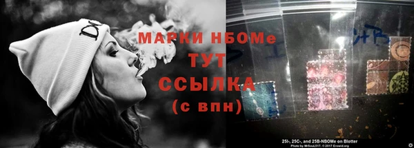 ПСИЛОЦИБИНОВЫЕ ГРИБЫ Богданович