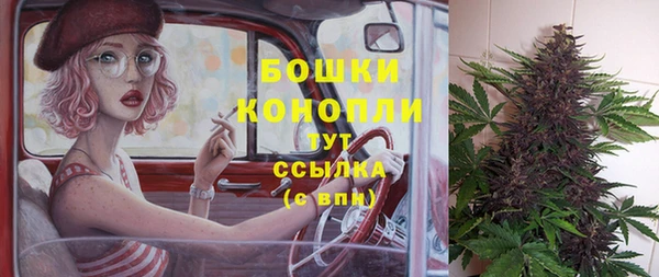 ПСИЛОЦИБИНОВЫЕ ГРИБЫ Богданович