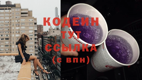 стаф Богородицк