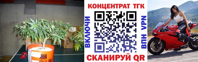 хочу наркоту  Белореченск  ТГК концентрат 